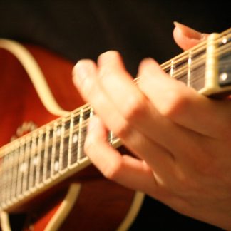 Maggots in the Sheephide